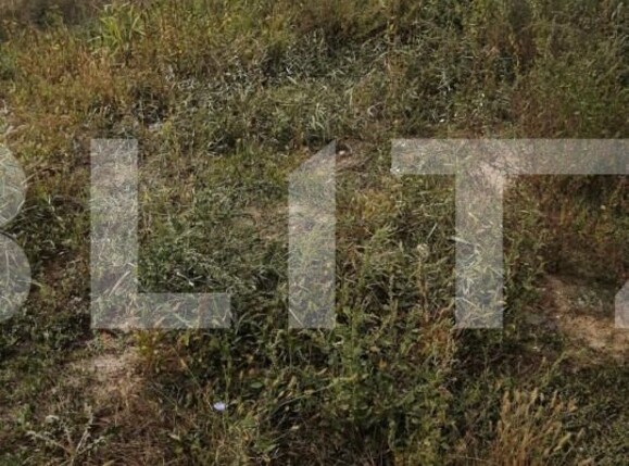 Teren de vânzare Buziasului - 140300TV | BLITZ Timișoara | Poza2