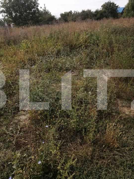 Teren de vânzare Buziasului - 140300TV | BLITZ Timișoara | Poza2