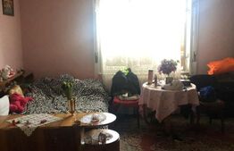 Casa individuala, 286 construiti, 627 mp teren, Timisoara