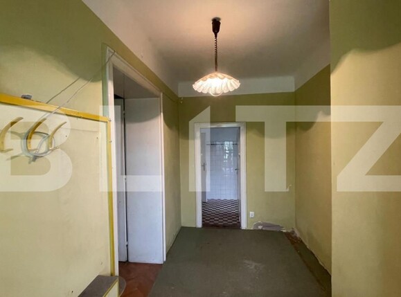 Casa de vânzare 5 camere Balcescu - 140308CV | BLITZ Timișoara | Poza7