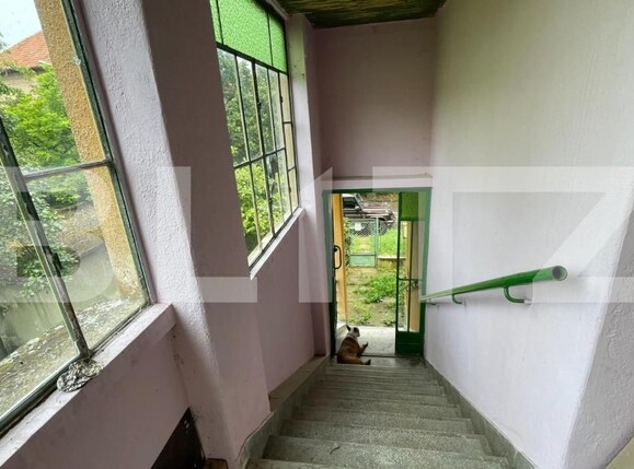 Casa de vânzare 5 camere Balcescu - 140308CV | BLITZ Timișoara | Poza9