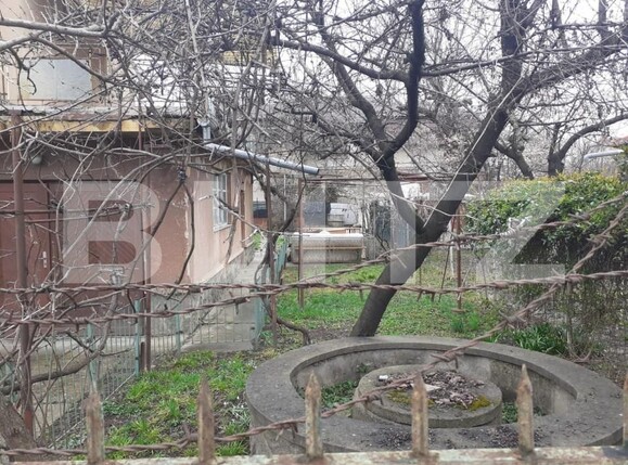 Casa de vânzare 5 camere Elisabetin - 140310CV | BLITZ Timișoara | Poza4