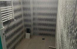 Clinică Medicală, spațiu comercial, 220 mp, zona Lipovei