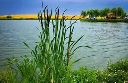  Baza de agrement, restaurant si camping