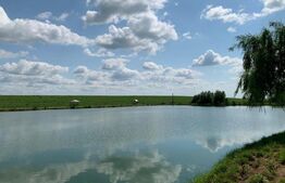  Baza de agrement, restaurant si camping