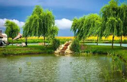  Baza de agrement, restaurant si camping