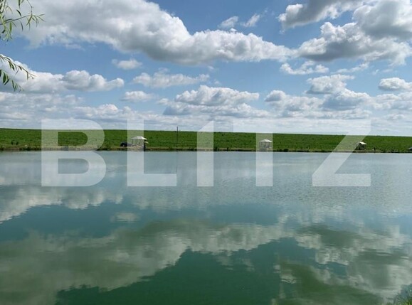 Casa de vânzare 1 camera Exterior Nord - 140313CV | BLITZ Timișoara | Poza8