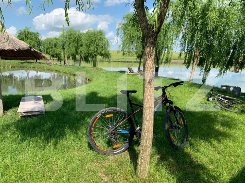 Casa de vânzare 1 camera Exterior Nord - 140313CV | BLITZ Timișoara | Poza7