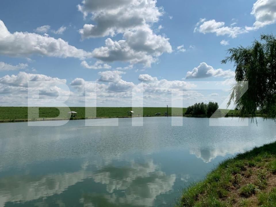 Casa de vânzare 1 camera Exterior Nord - 140313CV | BLITZ Timișoara | Poza9