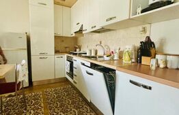 Casă Individuală, 270 mp utili, zona Blascovici!