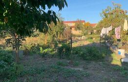 Casa D+P de 5 camere, 148 mp, teren 554 mp, Freidorf