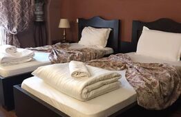 Complex Hotelier 4 stele, 1480 mp utili, teren 1380 mp, Timisoara