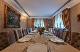 Complex Hotelier 4 stele, 1480 mp utili, teren 1380 mp, Timisoara