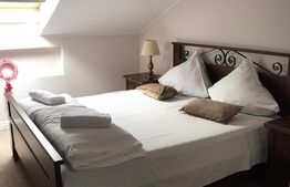 Complex Hotelier 4 stele, 1480 mp utili, teren 1380 mp, Timisoara