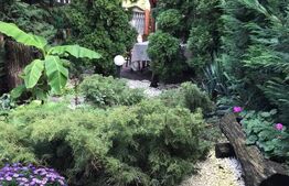 Complex Hotelier 4 stele, 1480 mp utili, teren 1380 mp, Timisoara