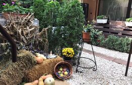 Complex Hotelier 4 stele, 1480 mp utili, teren 1380 mp, Timisoara