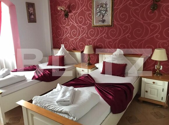 Casa de vânzare 24 camere Mehala - 140324CV | BLITZ Timișoara | Poza2