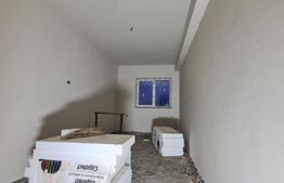 Duplex cu 5 camere, 120 mp utili, teren 250 mp