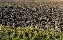 Teren de vanzare, 1039 mp, POT 35%, Lipovei