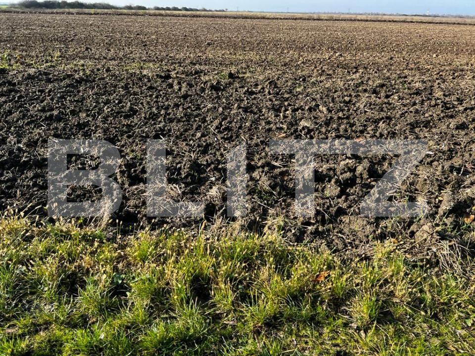 Teren de vânzare Lipovei - 140329TV | BLITZ Timișoara | Poza1