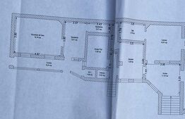 Casa istorica, 380 mp utili, teren 920, cu doua beciuri si acces auto in curte