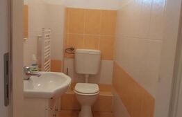 Oportunitate! Penthouse spatios, 106 mp, luminos, zona Odobescu