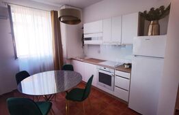 Oportunitate! Penthouse spatios, 106 mp, luminos, zona Odobescu