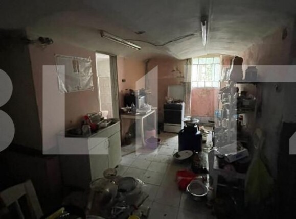 Spațiu comercial de închiriat Balcescu - 140340SIC | BLITZ Timișoara | Poza3