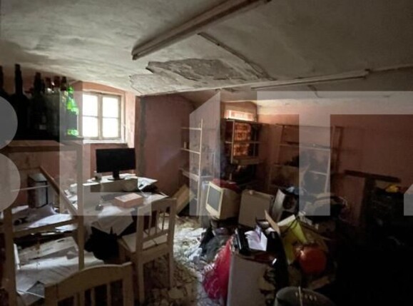 Spațiu comercial de închiriat Balcescu - 140340SIC | BLITZ Timișoara | Poza2