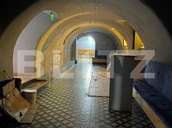 Spațiu comercial de închiriat Central - 140341SIC | BLITZ Timișoara | Poza2