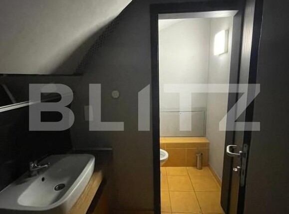 Spațiu comercial de închiriat Central - 140341SIC | BLITZ Timișoara | Poza10