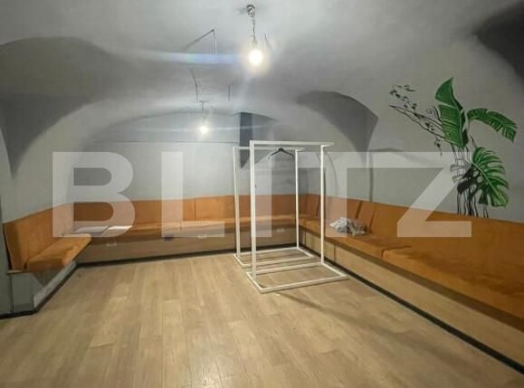 Spațiu comercial de închiriat Central - 140341SIC | BLITZ Timișoara | Poza3