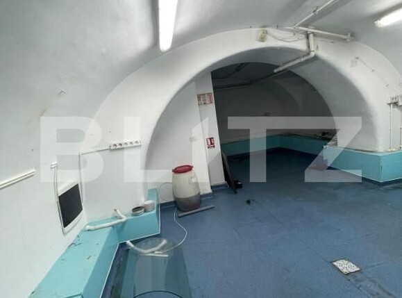 Spațiu comercial de închiriat Central - 140341SIC | BLITZ Timișoara | Poza6