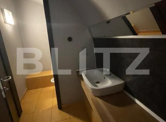 Spațiu comercial de închiriat Central - 140341SIC | BLITZ Timișoara | Poza11