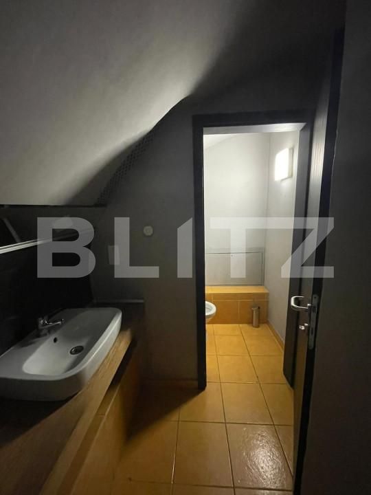 Spațiu comercial de închiriat Central - 140341SIC | BLITZ Timișoara | Poza10