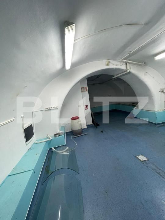 Spațiu comercial de închiriat Central - 140341SIC | BLITZ Timișoara | Poza6