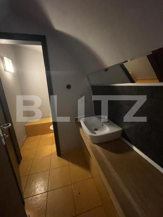 Spațiu comercial de închiriat Central - 140341SIC | BLITZ Timișoara | Poza11