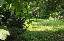 Casa individuala, 110 mp utili, teren 638 mp, Fabric