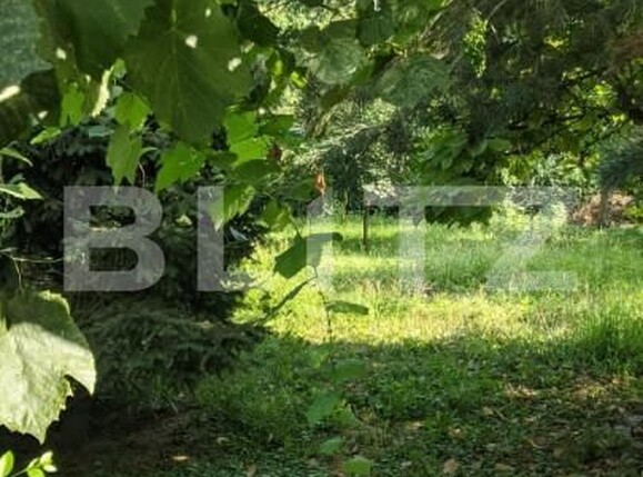 Casa de vânzare 3 camere Fabric - 140347CV | BLITZ Timișoara | Poza3