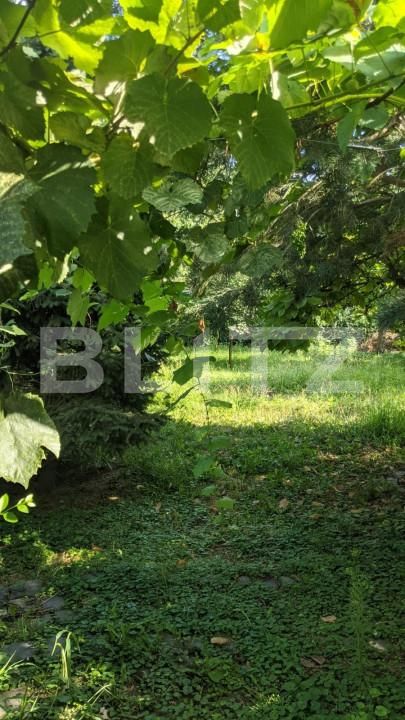 Casa de vânzare 3 camere Fabric - 140347CV | BLITZ Timișoara | Poza3