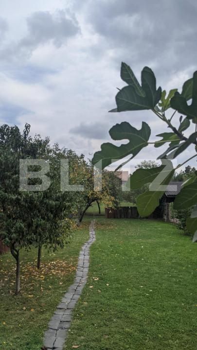 Casa de vânzare 4 camere Fabric - 140348CV | BLITZ Timișoara | Poza3