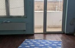 Casa individuala, suprafata generoasa, 360 mp utili, zona Mehala