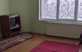 Casa individuala, suprafata generoasa, 360 mp utili, zona Mehala
