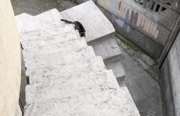 Casa individuala, suprafata generoasa, 360 mp utili, zona Mehala