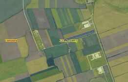 Teren extravilan agricol, 9716 mp, la DN69 Timisoara-Arad
