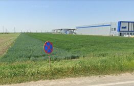 Teren extravilan agricol, 9716 mp, la DN69 Timisoara-Arad
