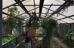 Casa 3 camere, 112 mp utili, teren 1240 mp, Ghirodei