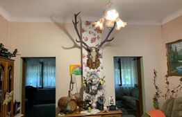 Casa 3 camere, 112 mp utili, teren 1240 mp, Ghirodei