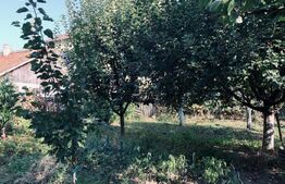 Casa 3 camere, 112 mp utili, teren 1240 mp, Ghirodei