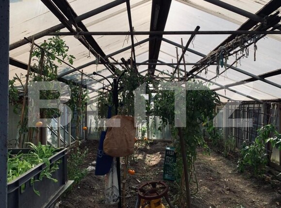 Casa de vânzare 3 camere Ghirodei - 140385CV | BLITZ Timișoara | Poza14